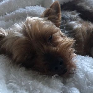 Meet your Posher, Karla